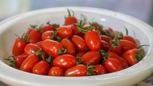 Tomates Grape Florece Hidroponia